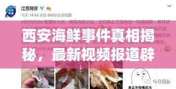 西安海鲜事件真相揭秘,最新视频报道辟谣揭秘