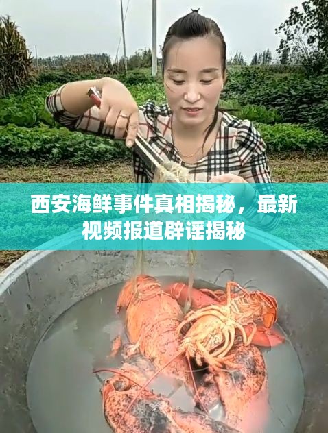 西安海鲜事件真相揭秘,最新视频报道辟谣揭秘