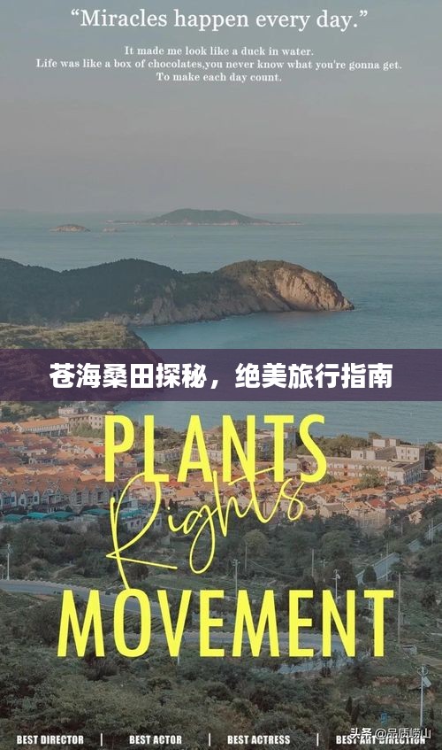 苍海桑田探秘,绝美旅行指南