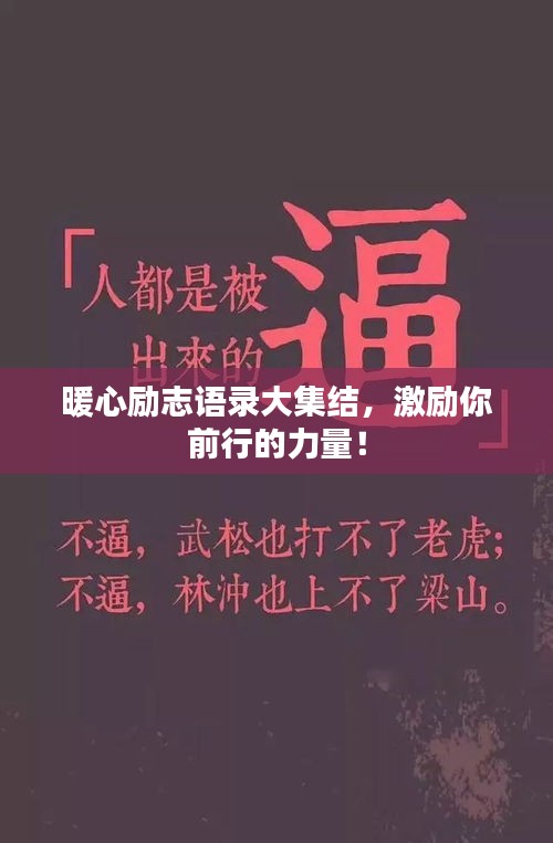 暖心励志语录大集结,激励你前行的力量!