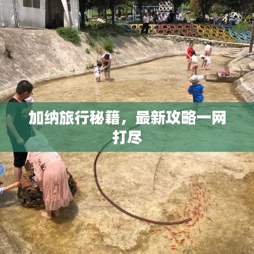 加纳旅行秘籍,最新攻略一网打尽