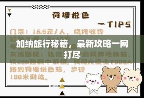 加纳旅行秘籍,最新攻略一网打尽