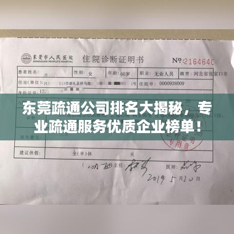 东莞疏通公司排名大揭秘,专业疏通服务优质企业榜单!