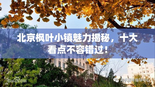2025年7月20日 第2页