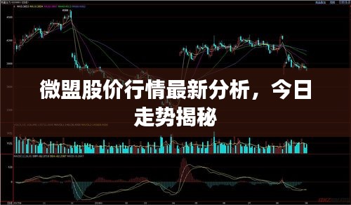 朴素无华 第2页