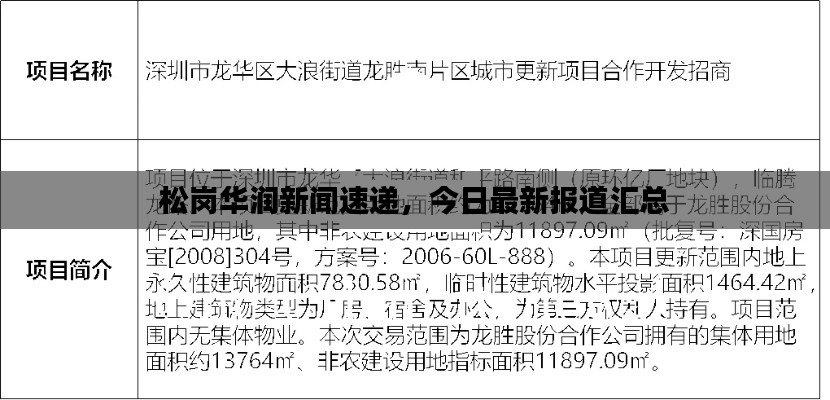 松岗华润新闻速递,今日最新报道汇总