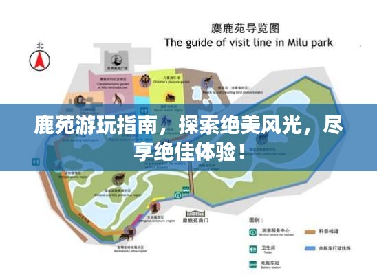 鹿苑游玩指南,探索绝美风光,尽享绝佳体验!