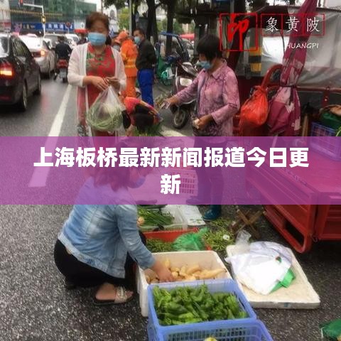 上海板桥最新新闻报道今日更新