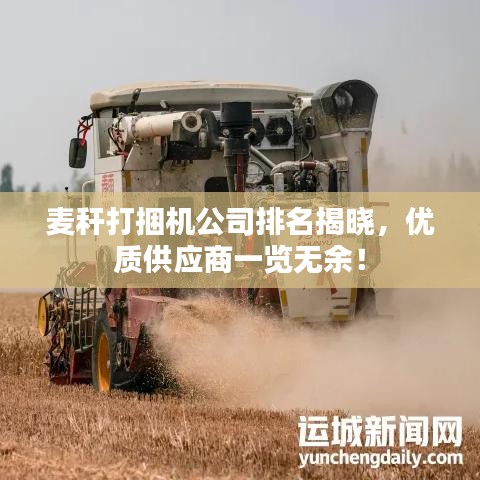 麦秆打捆机公司排名揭晓,优质供应商一览无余!