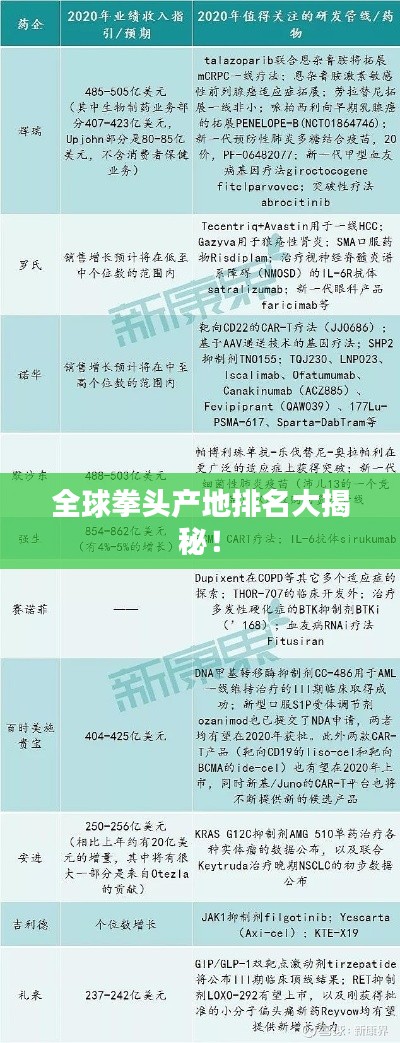 全球拳头产地排名大揭秘!