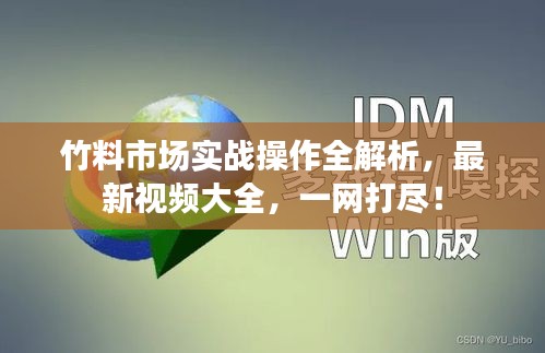 竹料市场实战操作全解析，最新视频大全，一网打尽！