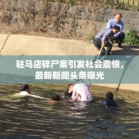驻马店碎尸案引发社会震惊，最新新闻头条曝光