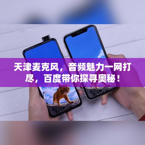 天津麦克风，音频魅力一网打尽，百度带你探寻奥秘！