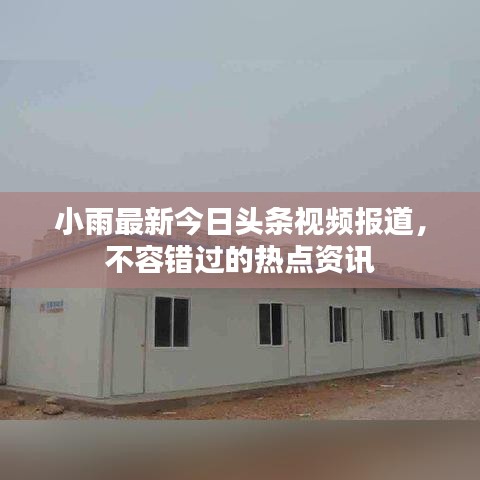 小雨最新今日头条视频报道，不容错过的热点资讯