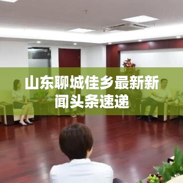 山东聊城佳乡最新新闻头条速递