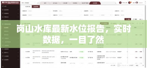 岗山水库最新水位报告,实时数据,一目了然