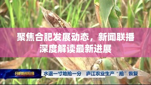 聚焦合肥发展动态，新闻联播深度解读最新进展