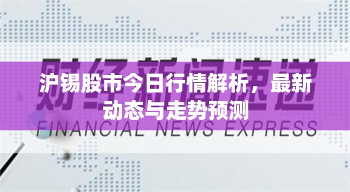 沪锡股市今日行情解析，最新动态与走势预测