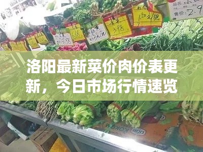 洛阳最新菜价肉价表更新，今日市场行情速览