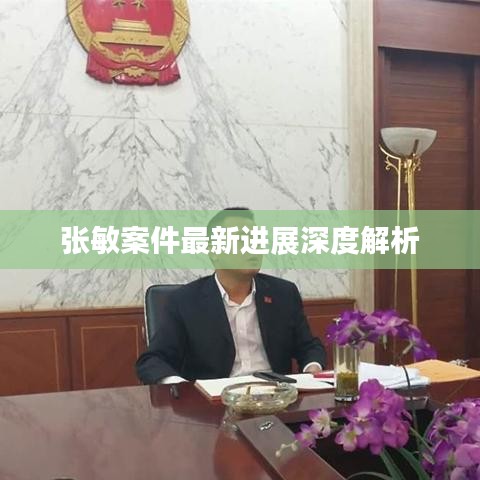 张敏案件最新进展深度解析