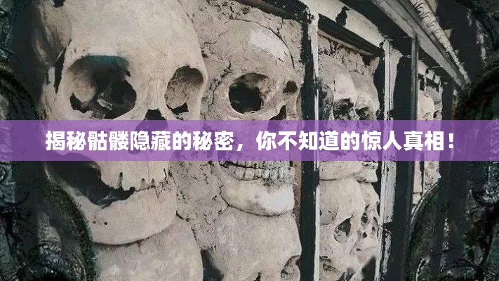 揭秘骷髅隐藏的秘密,你不知道的惊人真相!