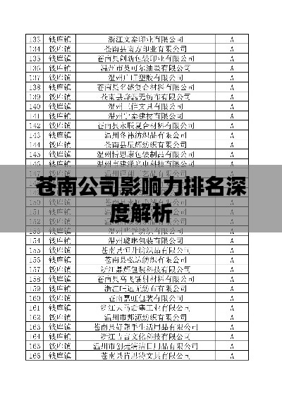 苍南公司影响力排名深度解析