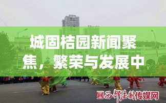 城固桔园新闻聚焦，繁荣与发展中的新貌展现