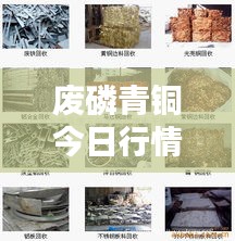 废磷青铜今日行情深度解析