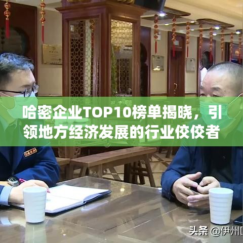 哈密企业TOP10榜单揭晓，引领地方经济发展的行业佼佼者