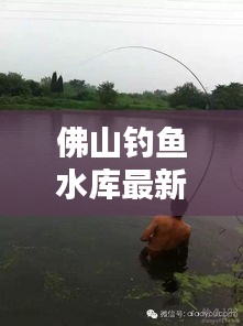 佛山钓鱼水库最新攻略大全,让你轻松钓上大鱼!