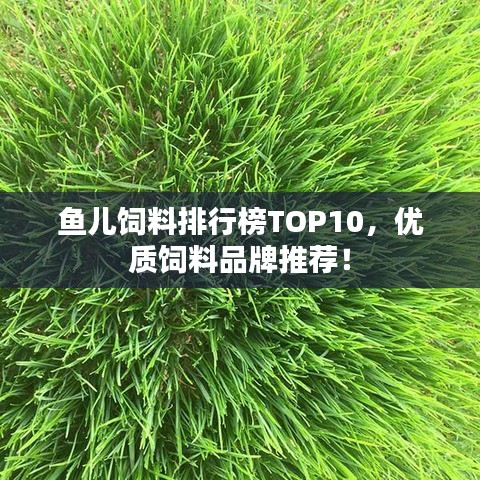 鱼儿饲料排行榜TOP10,优质饲料品牌推荐!