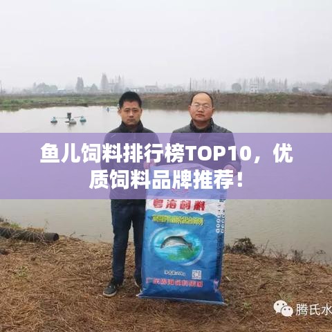 鱼儿饲料排行榜TOP10,优质饲料品牌推荐!