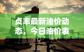 贞丰最新油价动态，今日油价表、影响因素深度解析
