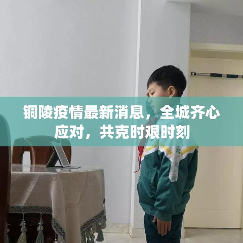 铜陵疫情最新消息,全城齐心应对,共克时艰时刻