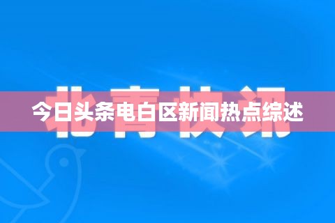 今日头条电白区新闻热点综述