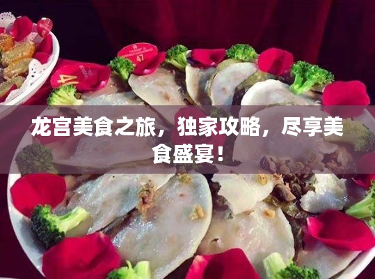 龙宫美食之旅，独家攻略，尽享美食盛宴！