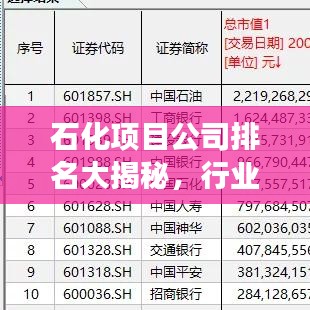 石化项目公司排名大揭秘,行业巨头实力与影响力榜单重磅出炉!
