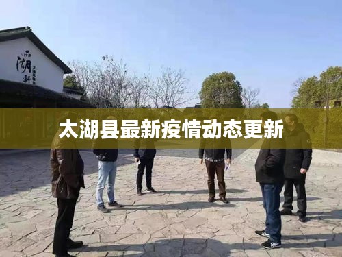 太湖县最新疫情动态更新