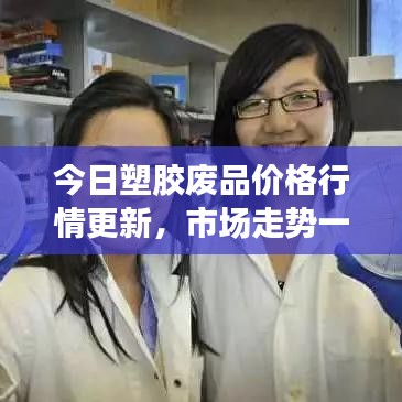 2025年7月 第17页