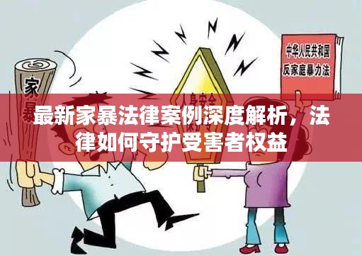 最新家暴法律案例深度解析,法律如何守护受害者权益