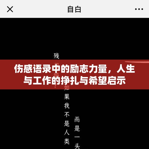 伤感语录中的励志力量,人生与工作的挣扎与希望启示