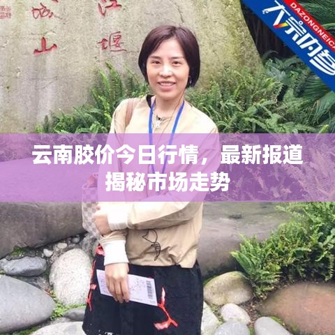 云南胶价今日行情,最新报道揭秘市场走势