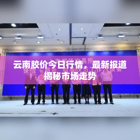 云南胶价今日行情,最新报道揭秘市场走势
