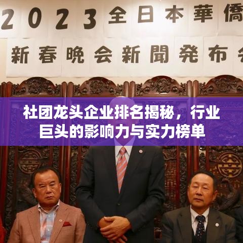 社团龙头企业排名揭秘,行业巨头的影响力与实力榜单