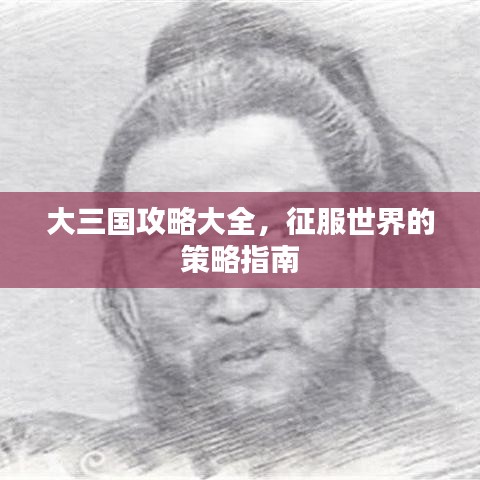 大三国攻略大全,征服世界的策略指南