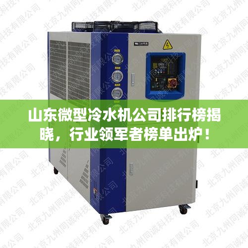 山东微型冷水机公司排行榜揭晓,行业领军者榜单出炉!