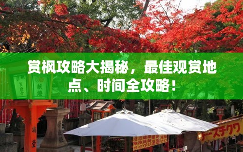 赏枫攻略大揭秘,最佳观赏地点、时间全攻略!