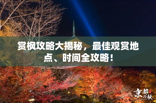赏枫攻略大揭秘,最佳观赏地点、时间全攻略!