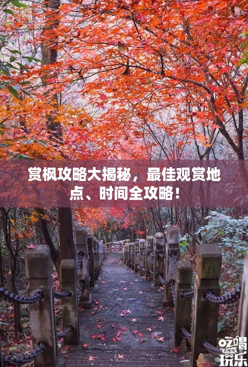 赏枫攻略大揭秘,最佳观赏地点、时间全攻略!