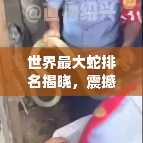 世界最大蛇排名揭晓,震撼人心的巨型蛇类榜单!
